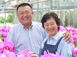 山野井洋蘭は、1972年にカトレアを専門に栽培を始めて、50年超になります。