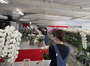 清潔で丁寧な環境づくり
