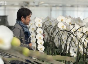 品質を支える経験と技術